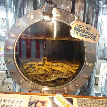 おきなわワールドに投稿された画像（2021/12/31）