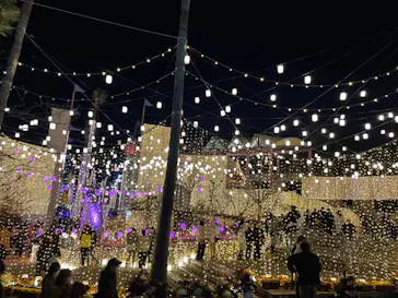 ひらかたパークに投稿された画像（2021/12/31）