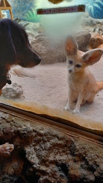 伊豆シャボテン動物公園に投稿された画像（2021/12/31）