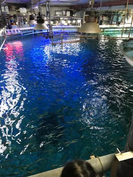 南知多ビーチランド＆南知多おもちゃ王国に投稿された画像（2021/12/31）