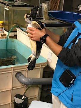 南知多ビーチランド＆南知多おもちゃ王国に投稿された画像（2021/12/31）