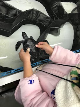 南知多ビーチランド＆南知多おもちゃ王国に投稿された画像（2021/12/31）