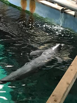 南知多ビーチランド＆南知多おもちゃ王国に投稿された画像（2021/12/31）