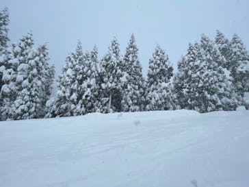 石打丸山スキー場 / ザ・ヴェランダ石打丸山に投稿された画像（2021/12/31）