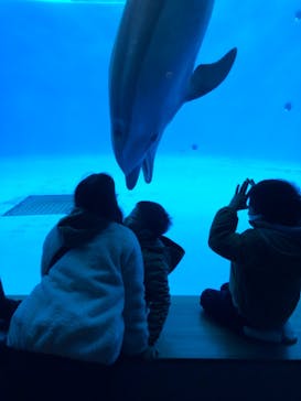 九十九島水族館海きららに投稿された画像（2021/12/31）