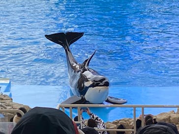 名古屋港水族館に投稿された画像（2021/12/31）