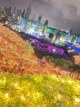 美らヤシパークオキナワ・東南植物楽園に投稿された画像（2021/12/31）