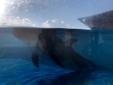京都水族館に投稿された画像（2021/12/31）