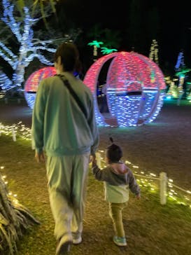美らヤシパークオキナワ・東南植物楽園に投稿された画像（2021/12/31）