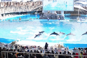 名古屋港水族館に投稿された画像（2021/12/31）