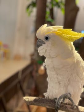 Moff animal cafe イオンモール幕張新都心店に投稿された画像（2021/12/31）