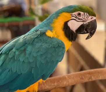 Moff animal cafe イオンモール幕張新都心店に投稿された画像（2021/12/31）