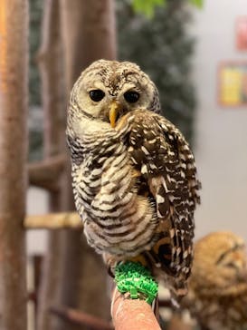 Moff animal cafe イオンモール幕張新都心店に投稿された画像（2021/12/31）