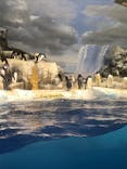名古屋港水族館に投稿された画像（2021/12/31）