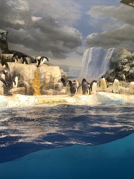 名古屋港水族館に投稿された画像（2021/12/31）