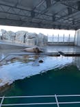 大分マリーンパレス水族館 「うみたまご」に投稿された画像（2021/12/31）