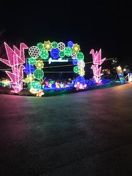 伊豆ぐらんぱる公園に投稿された画像（2021/12/31）