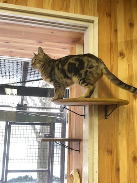 那須どうぶつ王国に投稿された画像（2021/12/31）