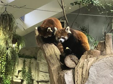 那須どうぶつ王国に投稿された画像（2021/12/31）