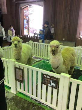 那須どうぶつ王国に投稿された画像（2021/12/31）