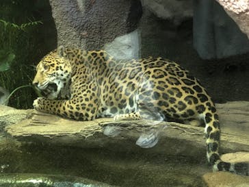 那須どうぶつ王国に投稿された画像（2021/12/31）