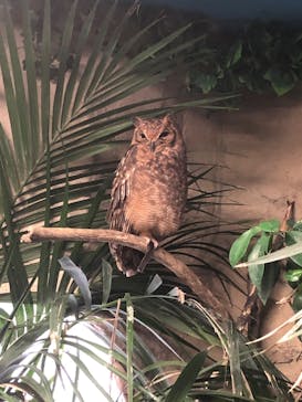 那須どうぶつ王国に投稿された画像（2021/12/31）