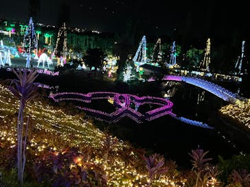 美らヤシパークオキナワ・東南植物楽園に投稿された画像（2021/12/31）