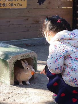 群馬サファリパークに投稿された画像（2021/12/31）