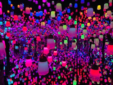 森ビル デジタルアート ミュージアム：エプソン チームラボボーダレスに投稿された画像（2021/12/31）