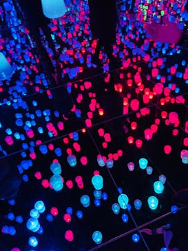 森ビル デジタルアート ミュージアム：エプソン チームラボボーダレスに投稿された画像（2021/12/31）