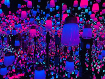 森ビル デジタルアート ミュージアム：エプソン チームラボボーダレスに投稿された画像（2021/12/31）