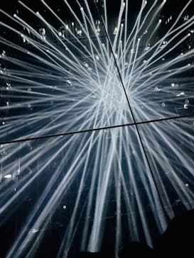 森ビル デジタルアート ミュージアム：エプソン チームラボボーダレスに投稿された画像（2021/12/31）