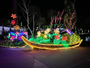 美らヤシパークオキナワ・東南植物楽園に投稿された画像（2021/12/31）