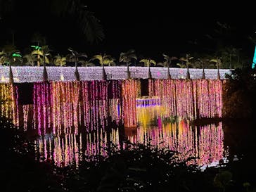 美らヤシパークオキナワ・東南植物楽園に投稿された画像（2021/12/31）