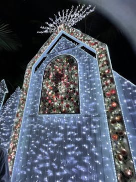 美らヤシパークオキナワ・東南植物楽園に投稿された画像（2021/12/31）