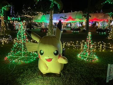 美らヤシパークオキナワ・東南植物楽園に投稿された画像（2021/12/31）