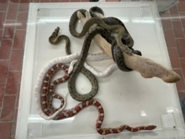 おきなわワールドに投稿された画像（2021/12/31）