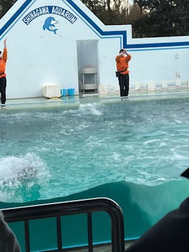 しながわ水族館に投稿された画像（2021/12/31）