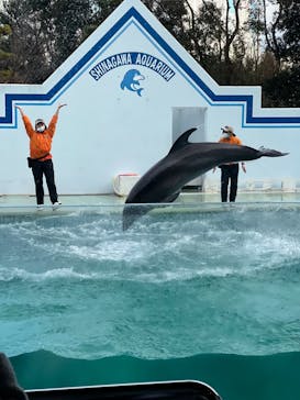 しながわ水族館に投稿された画像（2021/12/31）