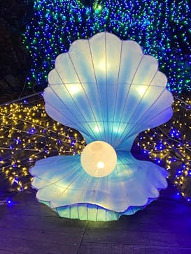 伊豆ぐらんぱる公園に投稿された画像（2022/1/1）