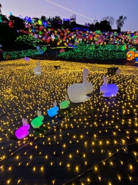 伊豆ぐらんぱる公園に投稿された画像（2022/1/1）