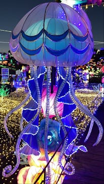 伊豆ぐらんぱる公園に投稿された画像（2022/1/1）