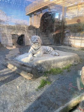 東武動物公園に投稿された画像（2022/1/1）