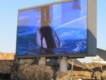 名古屋港水族館に投稿された画像（2022/1/1）