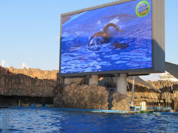名古屋港水族館に投稿された画像（2022/1/1）