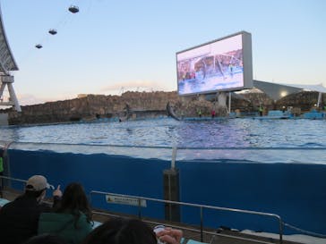 名古屋港水族館に投稿された画像（2022/1/1）