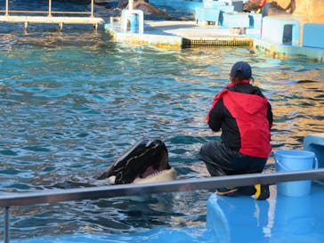 名古屋港水族館に投稿された画像（2022/1/1）