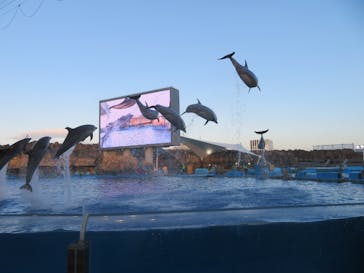 名古屋港水族館に投稿された画像（2022/1/1）