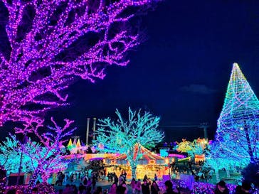 よみうりランド 遊園地に投稿された画像（2022/1/1）