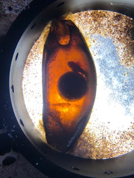 マクセル アクアパーク品川に投稿された画像（2022/1/1）